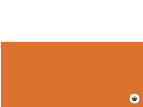 'northernillinoisrecovery.com' screenshot