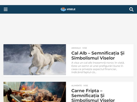 'visele.org' screenshot