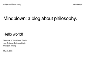 'milagromobilemarketing.com' screenshot