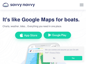 'savvy-navvy.com' screenshot