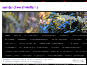 saintandrewstwinflame.com