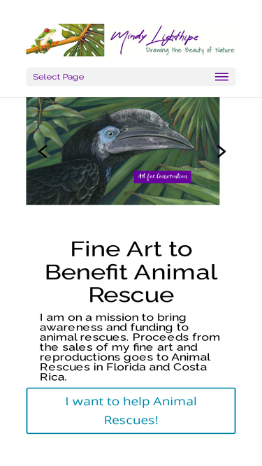 mindylighthipe.com