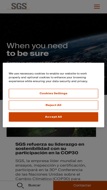 sgsgroup.com.ar