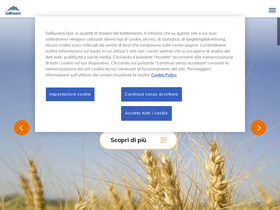 'galbusera.it' screenshot