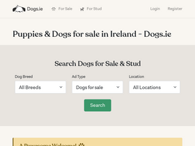 'dogs.ie' screenshot