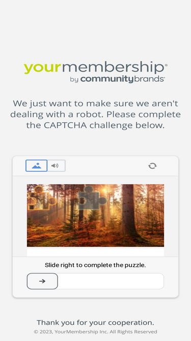newchaucersociety.org