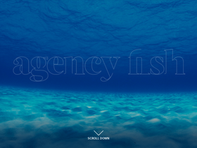 agencyfish.com