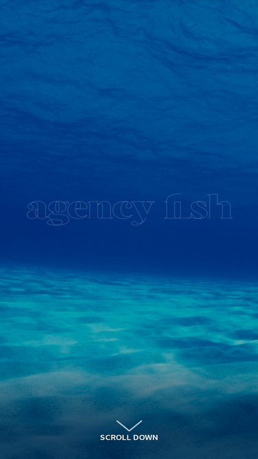 agencyfish.com