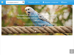 'volnistye.ru' screenshot