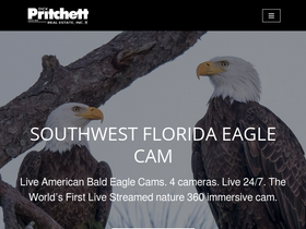 'dickpritchettrealestate.com' screenshot