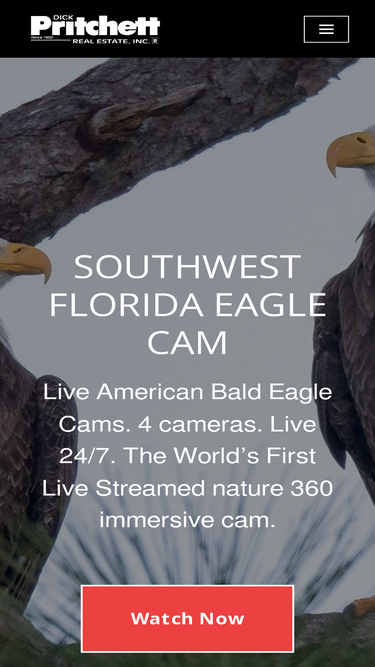 dickpritchettrealestate.com