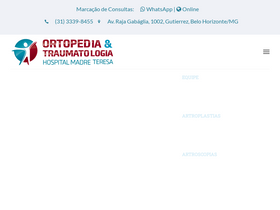 'ortopediahmt.com.br' screenshot