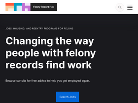 'felonyrecordhub.com' screenshot