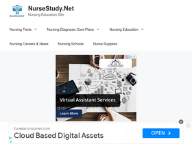'nursestudy.net' screenshot
