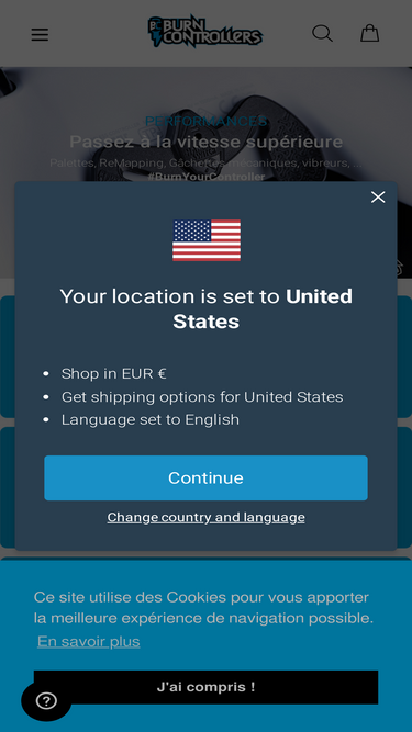 burn-controllers.com