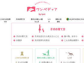 'wanpedia.com' screenshot