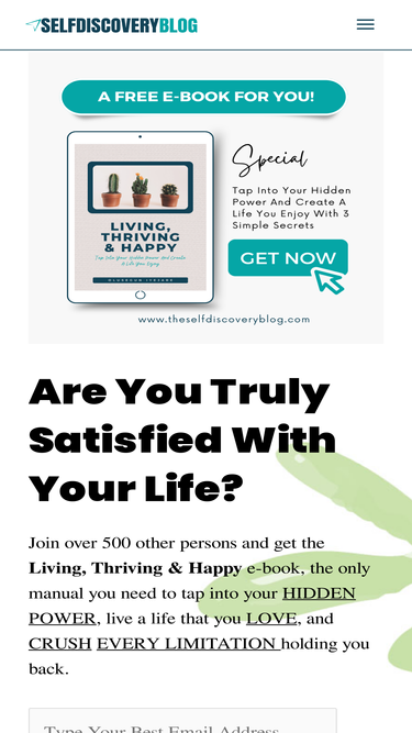 theselfdiscoveryblog.com