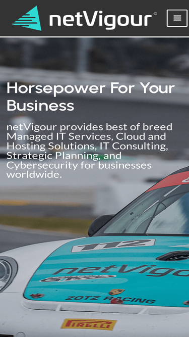 netvigour.com