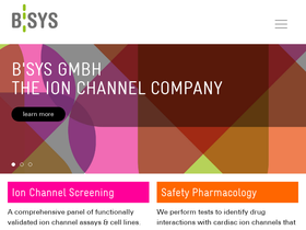 bsys.ch