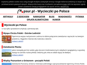 'psur.pl' screenshot