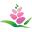 piedmontgarden.org