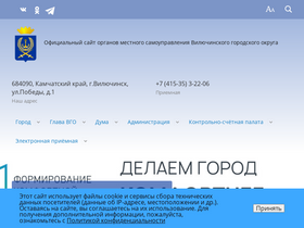 'viluchinsk-city.ru' screenshot