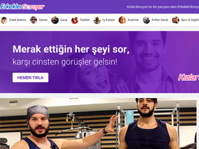 'erkeklersoruyor.com' screenshot