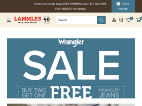 'lammles.com' screenshot