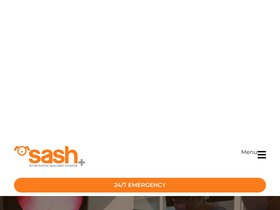 'sashvets.com' screenshot