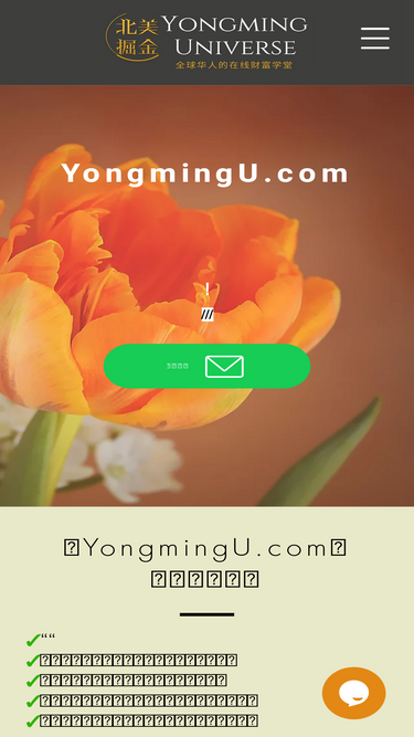 yongmingu.com