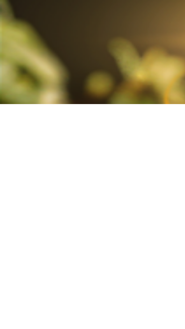 doshirak.com
