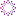auravet.com