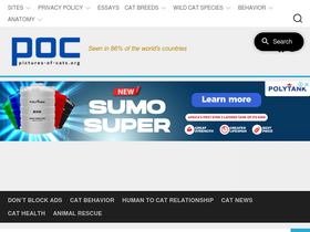 'pictures-of-cats.org' screenshot