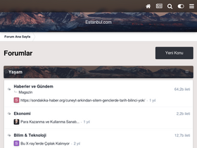 'estanbul.com' screenshot