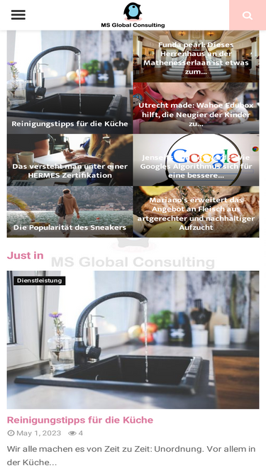 ms-global-consulting.de