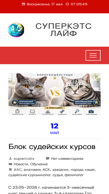 supercats.ru
