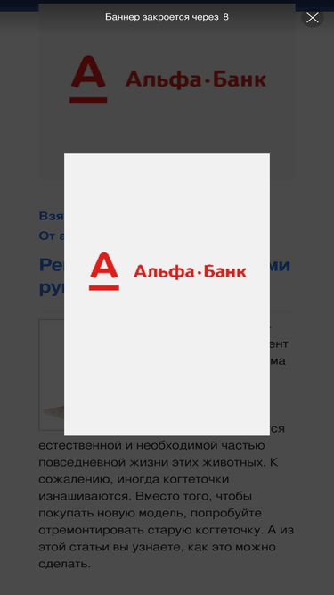 vokrugkota.ru