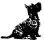 theblackdogdelis.co.uk