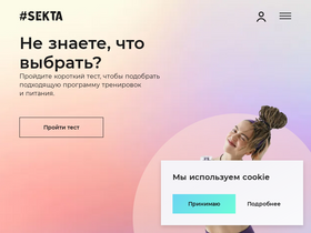 'sektaschool.ru' screenshot