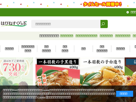 'e-hapi.com' screenshot