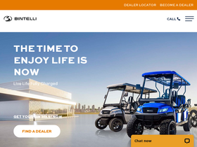 'bintelli.com' screenshot