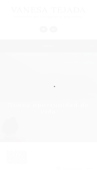 vanesatejada.com