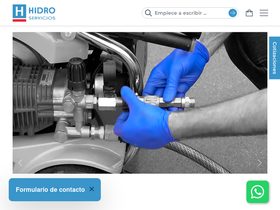 hidroservicioschile.cl homepage screenshot