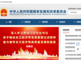 'yyglxxbs.ndrc.gov.cn' screenshot