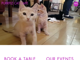 purrplecatcafe.com