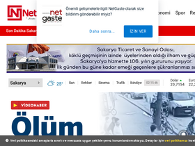 'netgaste.com' screenshot