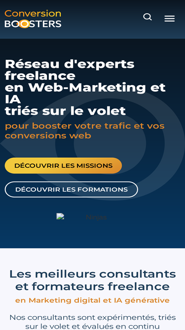 conversion-boosters.com