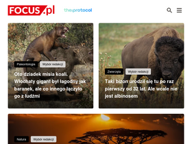 'focus.pl' screenshot