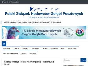 'pzhgp.pl' screenshot