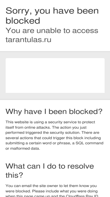 tarantulas.ru